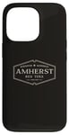 iPhone 13 Pro Amherst New York | Historic Amherst NY Case