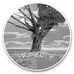 2 x Vinyl Stickers 20cm (bw) - Global Warming Concept Tree  #42414