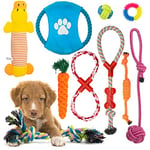 Fur & Bone 10 Pack Dog Chew Toys | Puppy Toys Dog Toys for Boredom | Indestructible Dog Toys with Rope Toys, Squeaky Toy | Dog Toy, Dog Teething Toys for Small & Medium Dogs | Dog