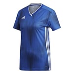 Adidas Women's TIRO 19 JSY W T-Shirt, Bold Blue/White, L