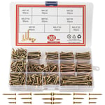 Vis a Bois,360 Vis Bois, Vis Autotaraudeuses M3 M4 à TêTe FraiséE, Assortiment De Vis à Bois Avec BoîTe De Rangement Pour Projet De Bricolage, RéParation