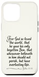 iPhone 15 Pro Max John 3:16 For God So Loved The World Entire Verse KJV Bible Case