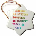 3dRose Yesterday is History Tomorrow is Mystery Today is a Gift Snowflake Ornament, Multi-Colour, 3-Inch