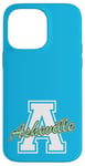 iPhone 14 Pro Max Retro Asheville Land of the Sky Case