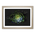 Big Box Art Dark Green Succulent Plant Paint Splash Framed Wall Art Picture Print Ready to Hang, Oak A2 (62 x 45 cm)