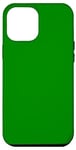 Coque pour iPhone 14 Pro Max Vert