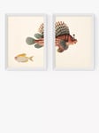 EAST END PRINTS Natural History Museum 'Fish' Framed Print, Set of 2