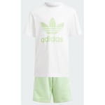 adidas Original Adicolor Shorts And Tee Set adult IR6935