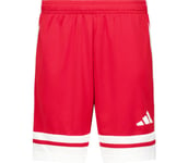 Squadra 25 Jr shorts Barn TEPORE/WHITE 164