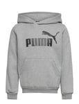 Ess Big Logo Hoodie Fl B Sport Sweat-shirts & Hoodies Hoodies Grey PUMA