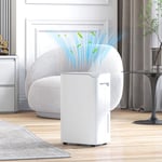 20L/Day Small Dehumidifier with Continuous Drainage, Filter, Humidity Display