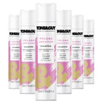 Toni & Guy Hair Volume Addiction Shampoo Fibre Strengthening Fine Hair 250ml x6