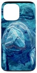 Coque pour iPhone 13 Pro Max Save The Manatee Crystal River FL Bleu abstrait rayé