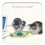 Playful Cats Are You Sure It's A Mouse? Little Dog Laughed Coaster Gift