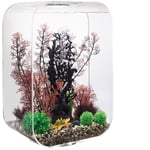 Oase - Aquarium 60l contours transparent Life 60 mcr transparent