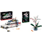 LEGO 10274 Icons Ghostbusters ECTO-1 Car Kit, Collectable Model for Display, Nostalgic Home Décor & 10311 Icons Orchid Artificial Plant Building Set with Flowers