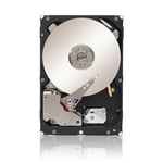 Seagate ST1000NM0023 Constellation ES.3 ST1000NM0023 Disque dur interne 1 To 3,5" SAS 6 Go/s 7200 tr/min Mémoire tampon 128 Mo 256 bits AES