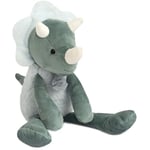 Histoire d'Ours - Peluche Dinosaure - Les Sweety Chou - Boite Cadeau - Verte Grise - 30 Cm - Idée Cadeau de Naissance et Anniversaire Fille et Garçon - HO2947