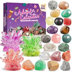 Crystals Advent Calendar 2024 - Crystal Growing Kit, 24 Days Crystal Gemstones Minerals Rocks & Fossils Advent Calendars,Christmas Countdown Calendar for Xmas Girls Boys Kids Men Women