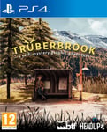 Trüberbrook PS4