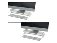 Leitz Ergo - Monitorställ - Adjustable - Grå