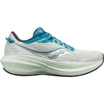 Chaussures Saucony  Triumph 21