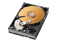 Coreparts - Hårddisk - 40 Gb - Intern - 3,5" - Ide - 7200 Rpm - Istandsat - För Acer Acer Acerpower F1, F1b, F1c