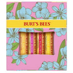 Full Bloom Lip Balm 4 Count By Burts Bees