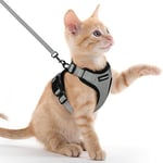 rabbitgoo Harnais Chat Anti évasion avec Laisse Gris XXS, Harnais Chaton Petit Chien Réglable, Collier Harnais et Laisses pour Chat Refléchissant Attache Dessus Gilet Respirant pour Lapin Chat Chiot