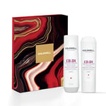 Goldwell Dualsenses Color Brilliance Shampoo and Conditioner Set