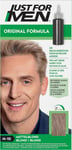 Just For Men Original Formula Blonde Hair Dye, Targets Only The Grey Hairs, Res