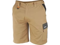 Dedra Protective Shorts Ld/54, Cotton + Elastane, 270G/M2 (Bh42st-Ld)