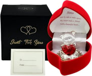 Gift Idea for Sister on Christmas Birthday Valentines Mothers Day Xmas Present