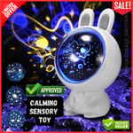 Calming Autism LED Light Sensory Toys Projector Multicolour Nebula Star Lamp UK