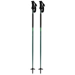 Elan Ripstick Rod Stavar