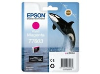 Epson T7603 - 25.9 ml - Magenta vif - original - blister - cartouche d'encre - pour SureColor SC-P600