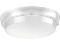 Lampa Sufitowa Pxf Lighting Modena 1X20w Led (Px3000241)