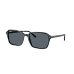 Ray-Ban Raimond - RB2231 1417R5 5618