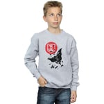 Sweat-shirt enfant Dc Comics  Justice League