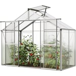 Serre de jardin Orchidee 2 structure en aluminium 256 x 131 cm panneaux en polycarbonate - aluminium naturel - GFP