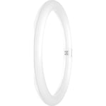 Ledvance LED rør T9 Value Cirkel G10Q 2200lm 20W 865 230V+EM