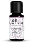 ARM-EO15LAV-WW Lavender 100% Pure Essential Oil - 15ml