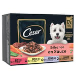 CESAR Repas pour Chien - 48 Sachets Fraîcheur (Lot de 4 Packs 12x100g) - Pâtée pour Chien en Sauce - Boeuf / Poulet / Agneau / Dinde - Nourriture Complète & Equilibrée avec des Ingrédients Naturels