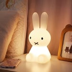 Famille - gabrielle Veilleuse à led, jouet d'éclairage pour enfants décoration de chambre en lapin veilleuse colorée, adaptée aux cadeaux pour