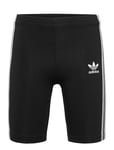 Adidas Originals Cycling Shorts Svart