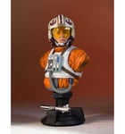 Gentle Giant Star Wars buste Luke Skywalker X-Wing Pilot SDCC