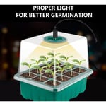 Nouveau 5 pièces kit Mini Serre pour Plantes, avec lumière Solaire à Spectre Complet, boîte de Culture pour Serre d'intérieur avec Couvercle et évents