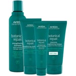 AVEDA Botanical Repair Set