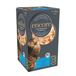 Encore Alimentation Humide pour Chats 100% Naturelle, Assortiment Premium de Poissons en Bouillon - Lot de 16 boîtes de 70 g