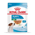 Aliments humides pour chiens ROYAL CANIN Mini Puppy 85g (sachet)